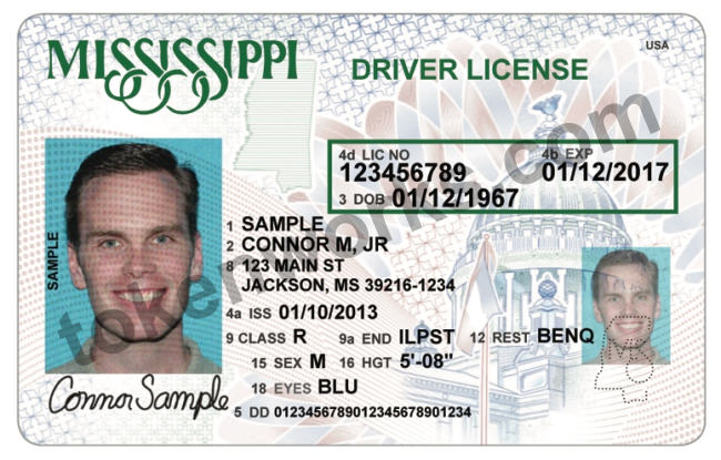 new Mississippi Driver's License design